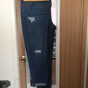 Lane Bryant Boyfriend Jeans size 20
